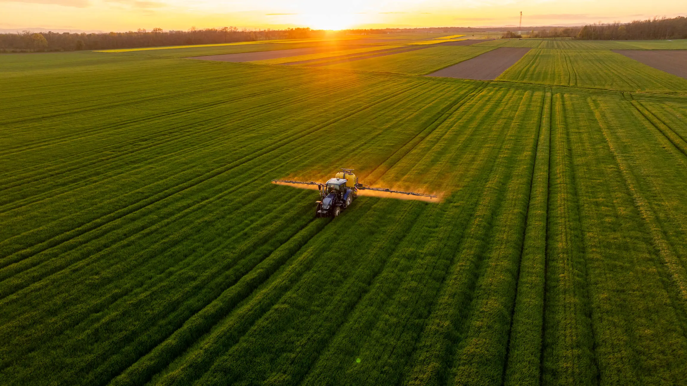 Tractor spraying field at sunrise.
